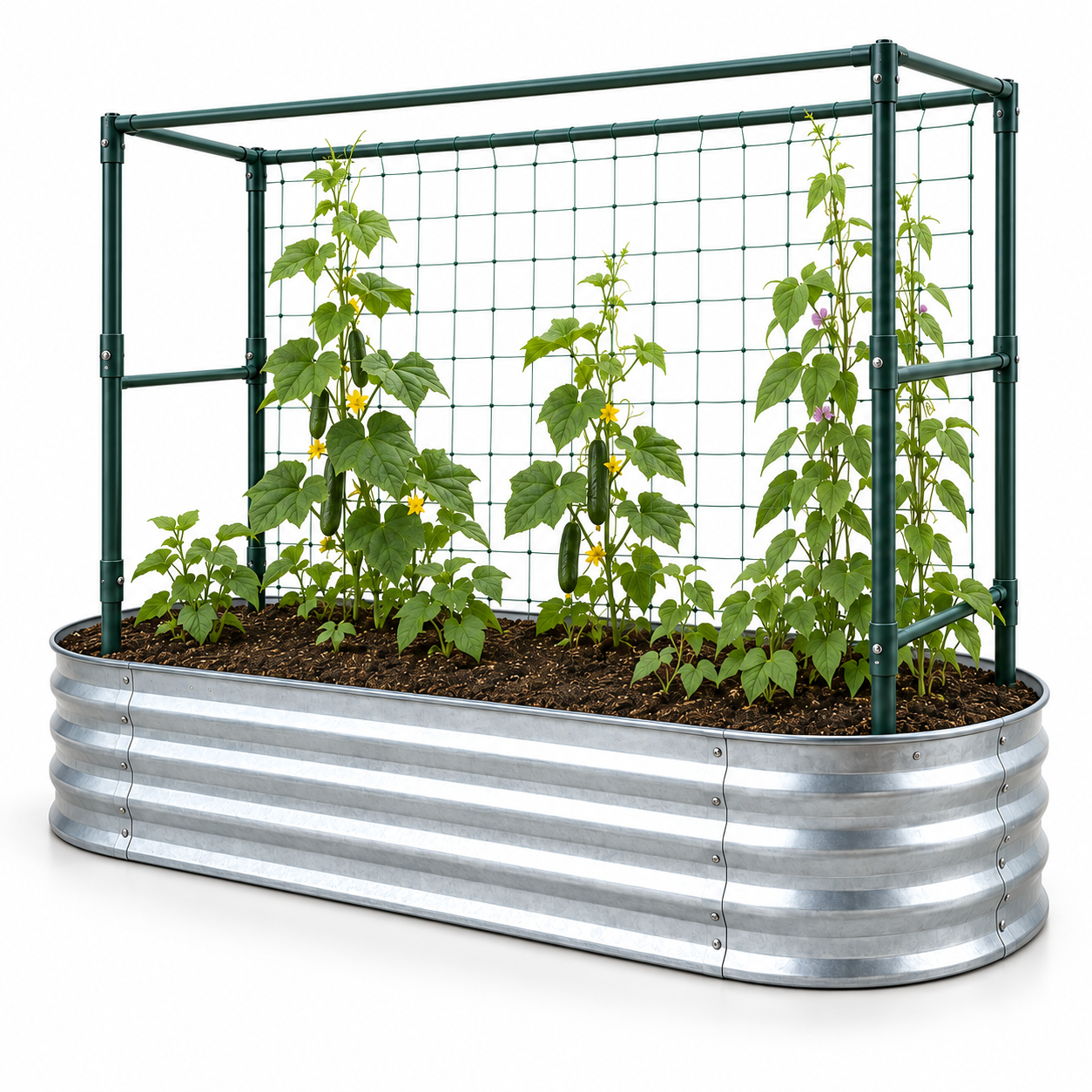 AI-generated concept for Plant Supports & Trellises